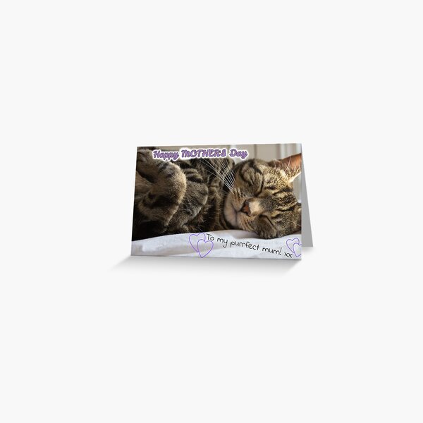 Cute Sleeping Tabby Mother's Day Card Greeting Card