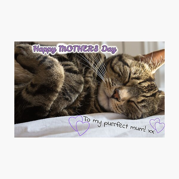 Cute Sleeping Tabby Mother's Day Card Photographic Print