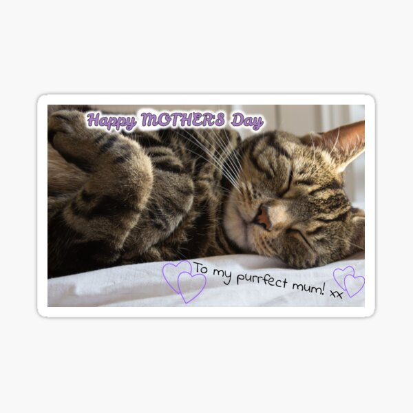 Cute Sleeping Tabby Mother's Day Card Sticker