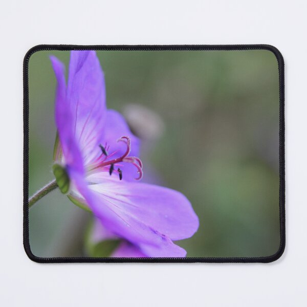 Item preview, Charming Cranesbill designed and sold by ASTRID EWING.