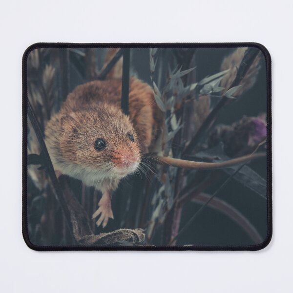 Item preview, Harvest Mouse among the Thistles designed and sold by Adrian Rowley.