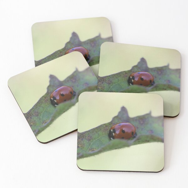 Item preview, Ladybird Lane designed and sold by ASTRID EWING.
