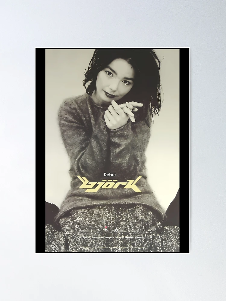 デッドストック！ビョーク Bjork 1995年ドイツでのライブ告知