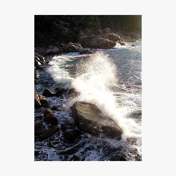 Item preview, 100th Wave designed and sold by Coral Sea Foundation.