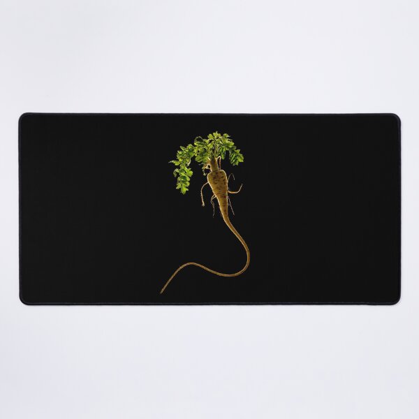 Item preview, Freshly harvested parsnip complete with leaves: black background designed and sold by bailey-cooper.