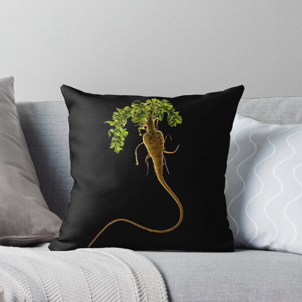 Item preview, Freshly harvested parsnip complete with leaves: black background designed and sold by bailey-cooper.