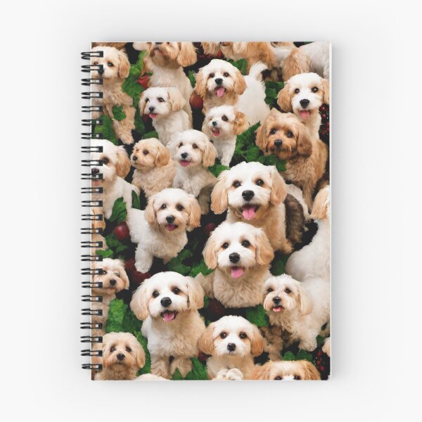 Aperçu de l'œuvre White Cavachons créée et vendue par BellaRosie Emporium.