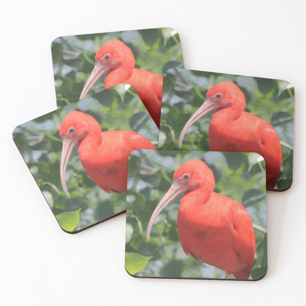 Item preview, Scarlet Ibis Bird designed and sold by CapeCodGiftShop.