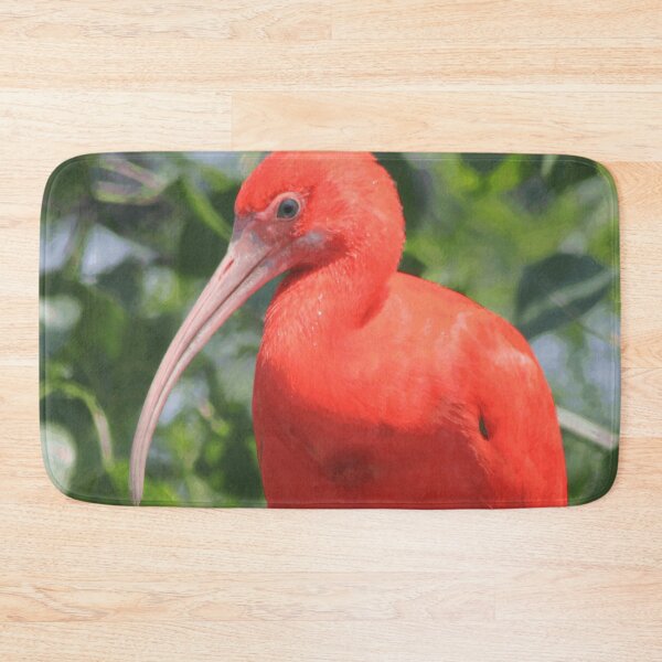 Item preview, Scarlet Ibis Bird designed and sold by CapeCodGiftShop.