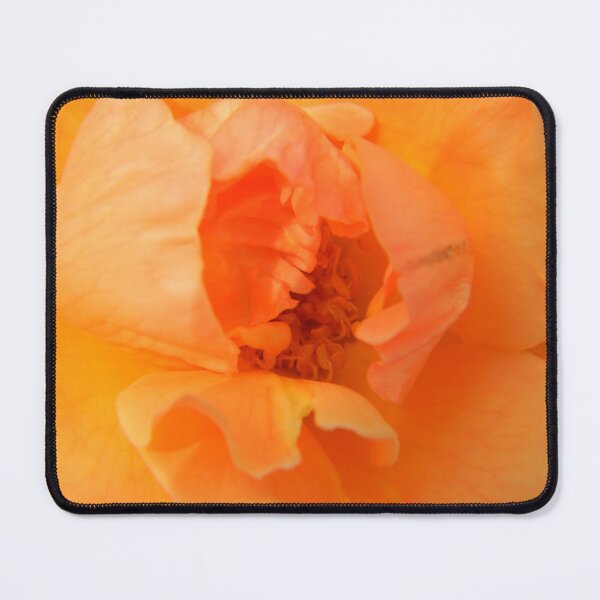Item preview, Bloomed Orange Flower designed and sold by CapeCodGiftShop.