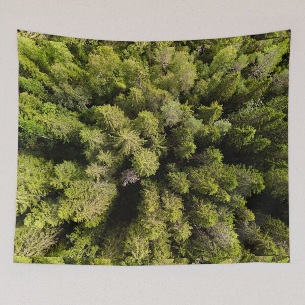 Item preview, High life. Kirkaslammi designed and sold by Jouko Lehto Photography.