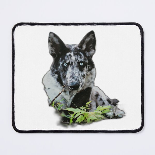 Item preview, Boreal Tito designed and sold by NordicWolfdogs.