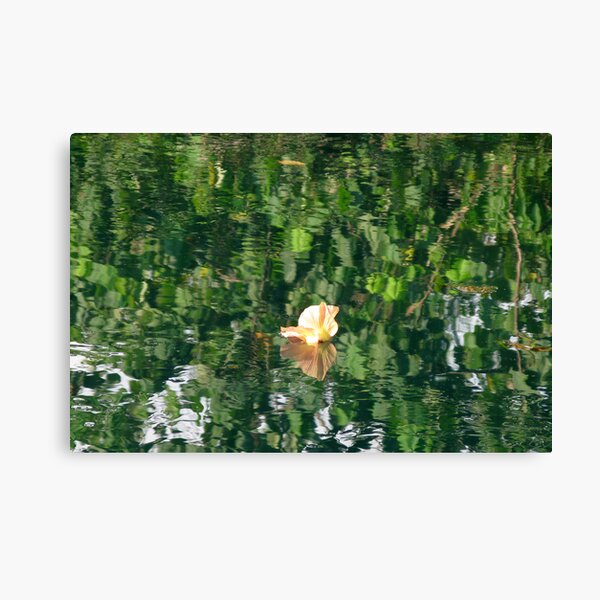 Sivoli Reflections II Canvas Print