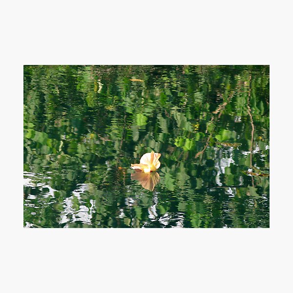 Sivoli Reflections II Photographic Print