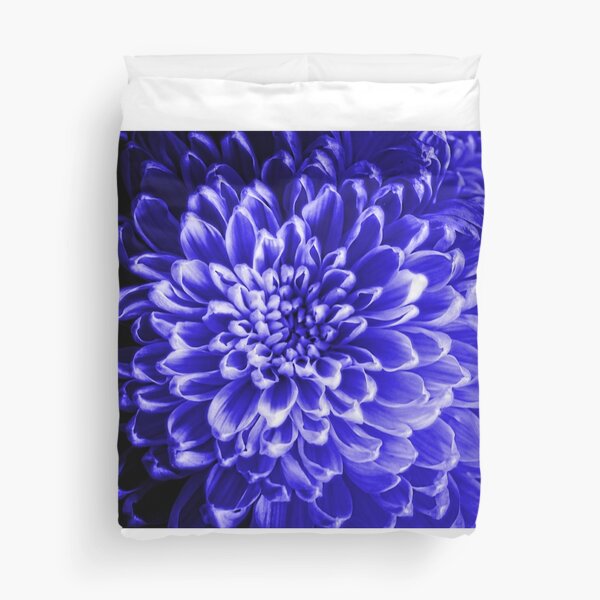 Item preview, Blue Chrysanthemum designed and sold by bloomingvine.