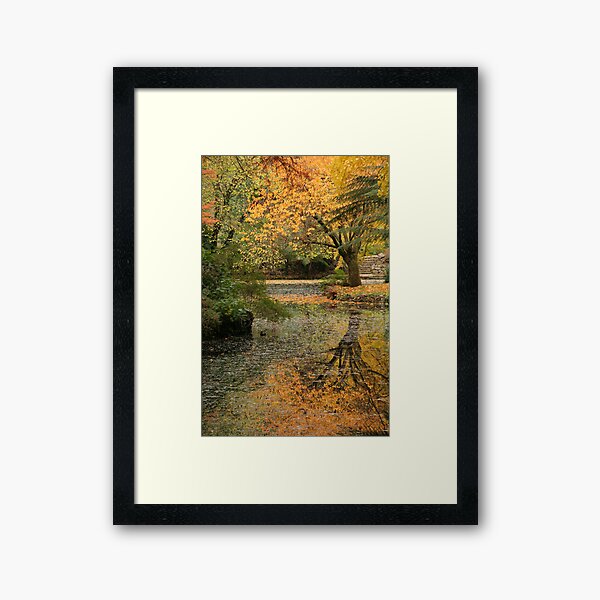 Item preview, Alfred Nicholas Gardens designed and sold by Stephen McMillan.