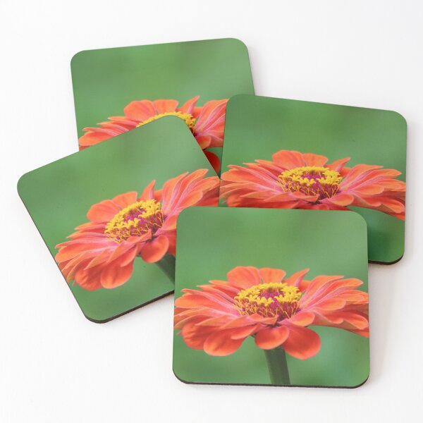 Item preview, Open up designed and sold by Olivia Plasencia.