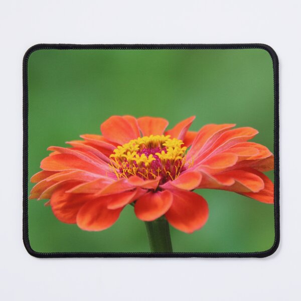 Item preview, Open up designed and sold by Olivia Plasencia.