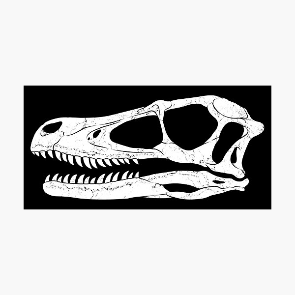 Artikel-Vorschau von Velociraptor Fossil, designt und verkauft von NicGrayGraphic.