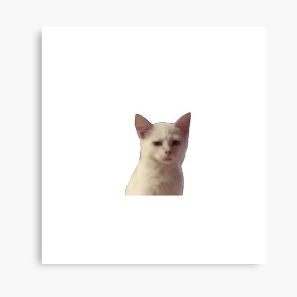 Cat Reaction Canvas Prints for Sale