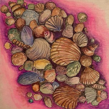 Vibrant Collection of Sea Shells