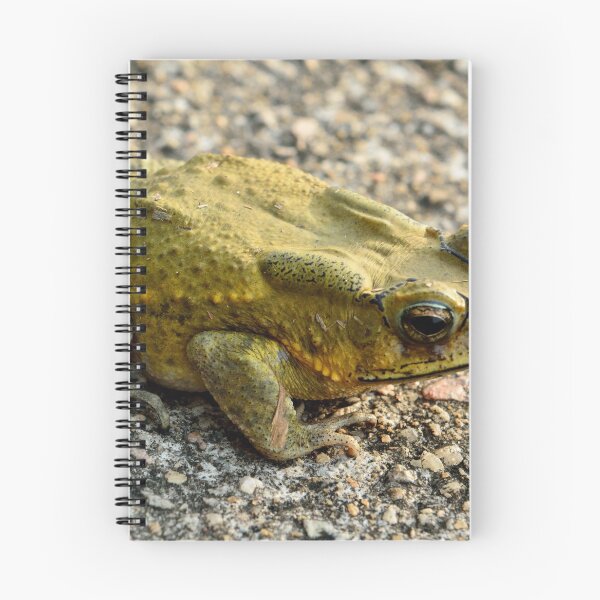 Item preview, European green toad designed and sold by AlizadaStudios.