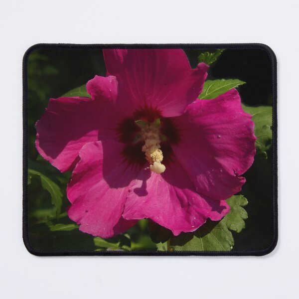 Item preview, Magenta mallow designed and sold by Guardi71.