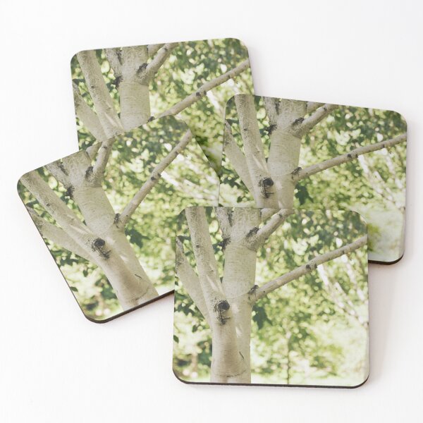 Item preview, Shimmering Silver Birch designed and sold by ASTRID EWING.