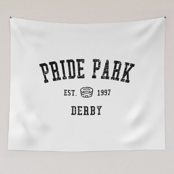 Item preview, Pride Park Stadium designed and sold by tfcstadium.