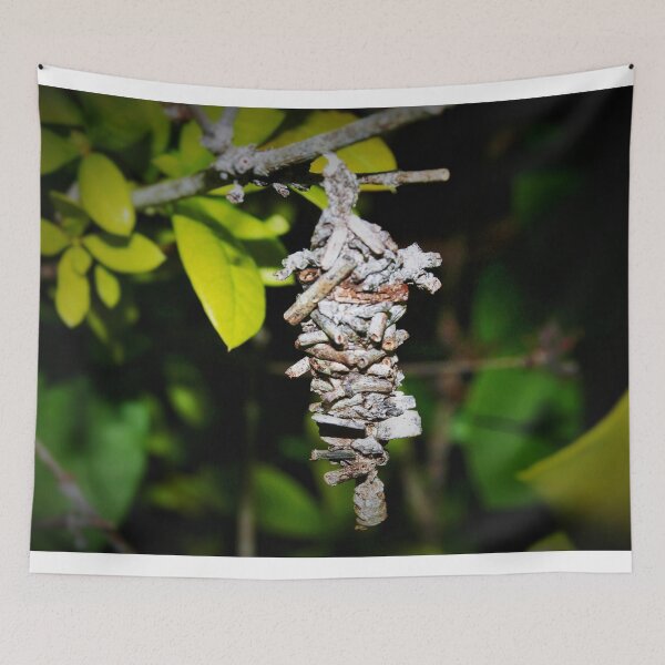Item preview, Bagworm cocoon designed and sold by B. Randi Bailey.