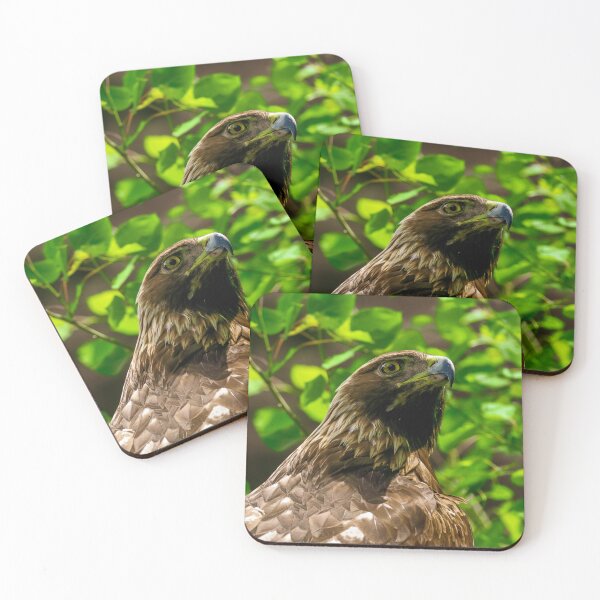 Item preview, Golden Eagle designed and sold by TinyDinoDesigns.