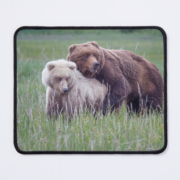 Item preview, Bears in Love Alaska designed and sold by PhotoArt by Joan Carroll.