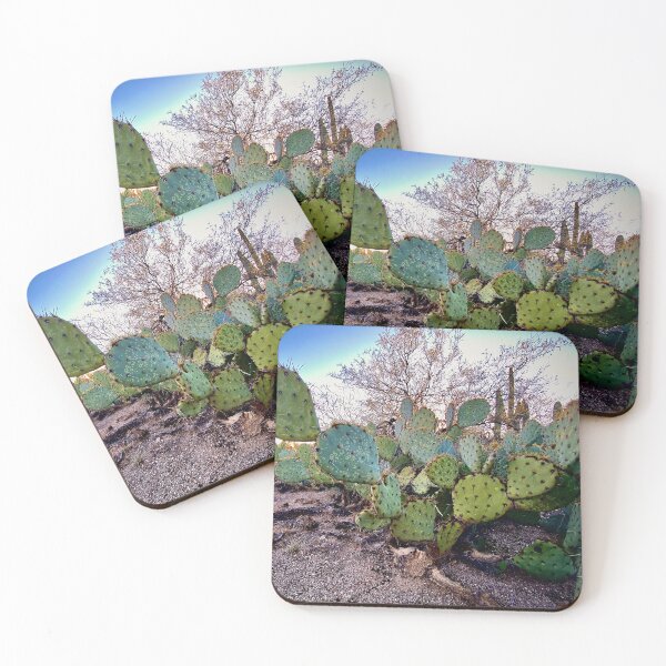 Item preview, wide cactus  designed and sold by photosynthesisk.
