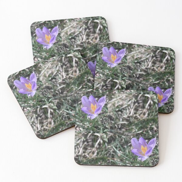 Item preview, Bloom Amongst the Blurs  designed and sold by Artladyjen.
