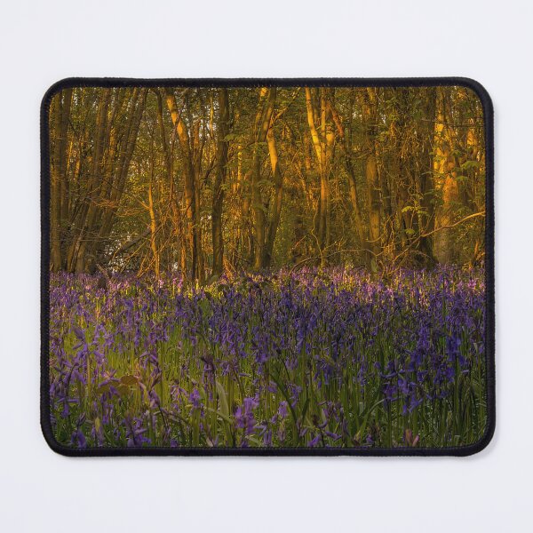 Item preview, Amidst the Bluebells at Everdon Stubbs designed and sold by Avril Harris.