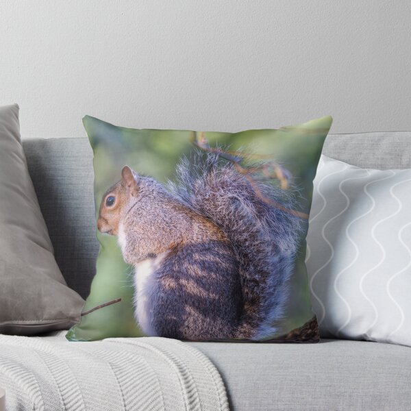 Item preview, The Grey Squirrel designed and sold by Jinxyboy1908.