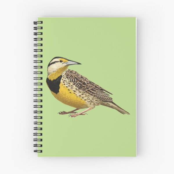 Item preview, Eastern Meadowlark Grassland Bird Species Illustration  designed and sold by Nick Garnhart.