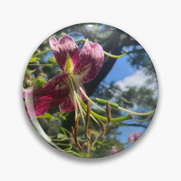 Item preview, Inverted Flower designed and sold by EmmelineKlatt.