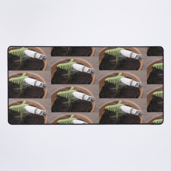 Item preview, Venus Fly Trap with Cigarette designed and sold by yuccaroot.
