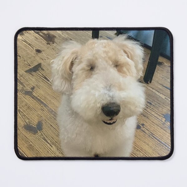 Item preview, Hilarious looking dog Borotan designed and sold by yuccaroot.