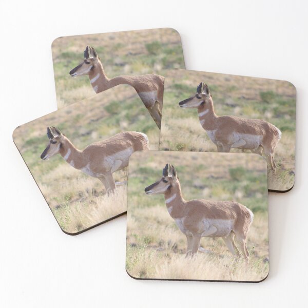 Item preview, Lovely Pronghorn designed and sold by simonjayphotos.