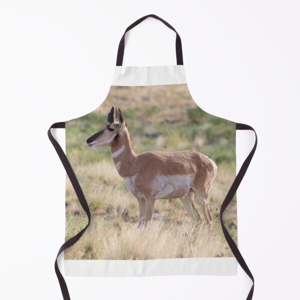 Item preview, Lovely Pronghorn designed and sold by simonjayphotos.