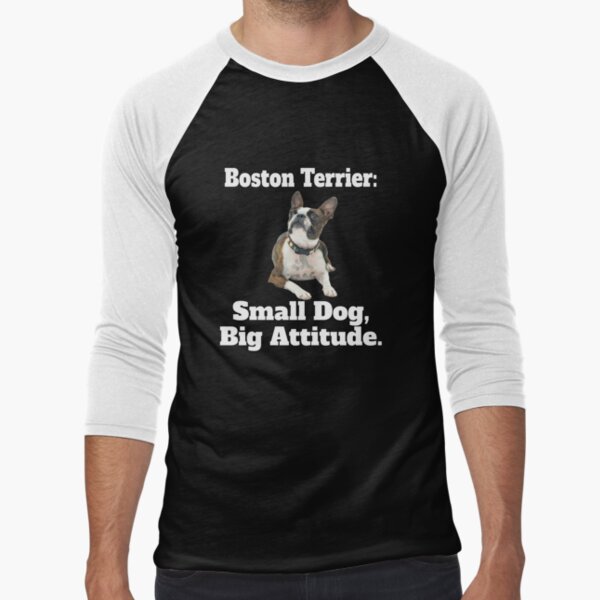 Boston Red Sox Dog Tee Shirt - Large