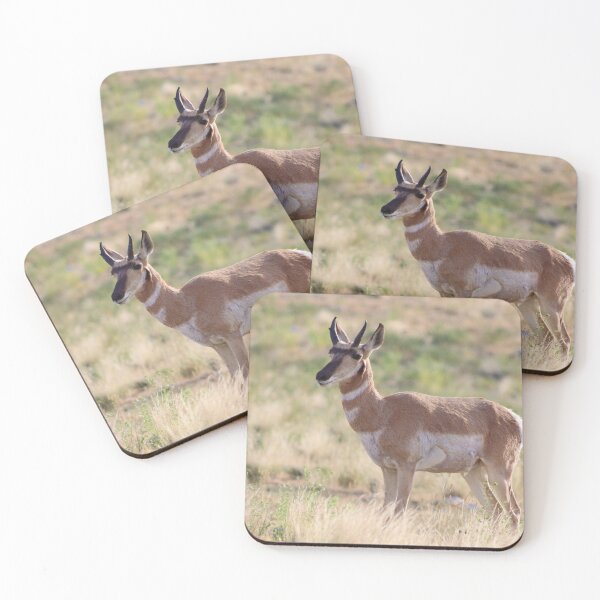 Item preview, Good Looking Pronghorn designed and sold by simonjayphotos.