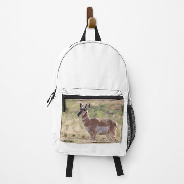 Item preview, Good Looking Pronghorn designed and sold by simonjayphotos.