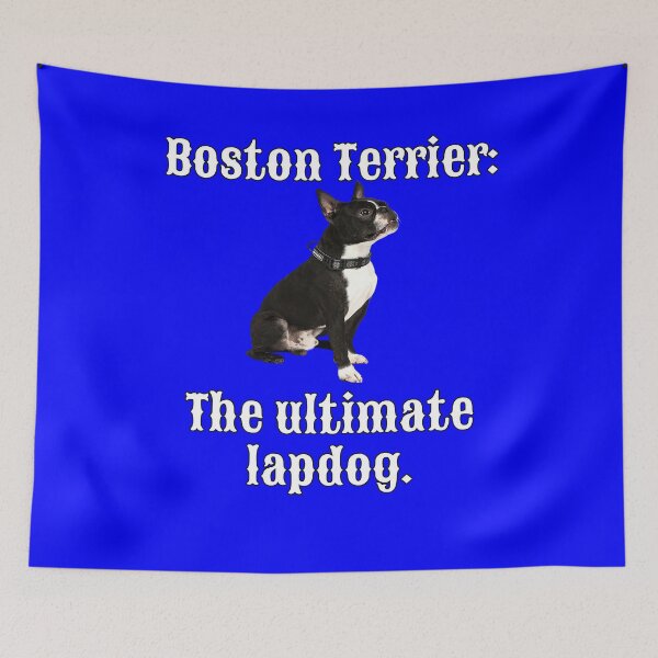 Item preview, Boston Terrier Dog Owner Boston Terrier: The Ultimate Lapdog designed and sold by fantasticdesign.