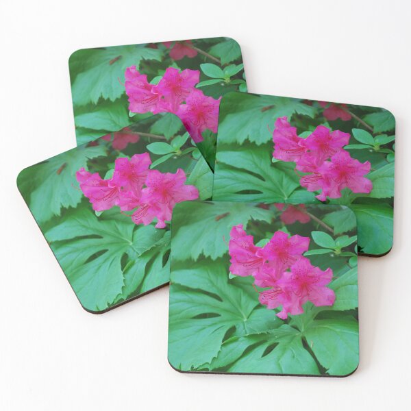 Item preview, Azalea and foliage designed and sold by SoelleBloom.