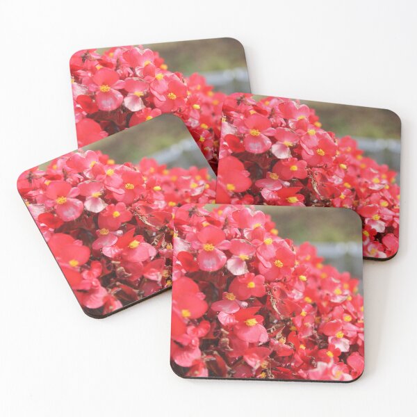 Item preview, Bright Begonia designed and sold by katelynroseart1.