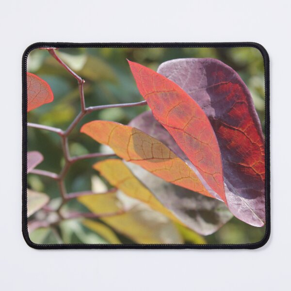Item preview, Feels like fall designed and sold by katelynroseart1.