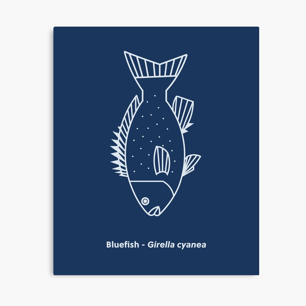 Cute Albacore Tuna Fish in Aegean Blue and White | Sticker